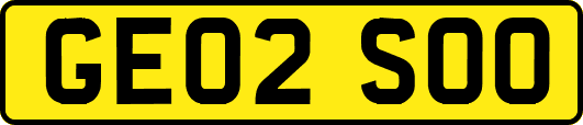 GE02SOO