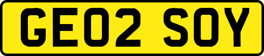GE02SOY