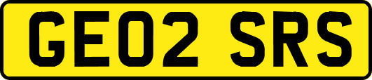 GE02SRS