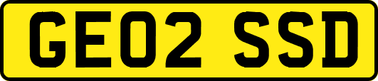GE02SSD
