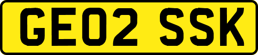 GE02SSK