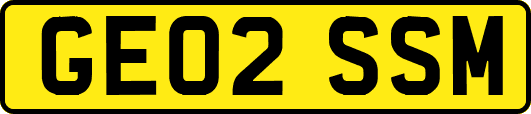 GE02SSM