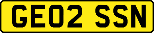 GE02SSN