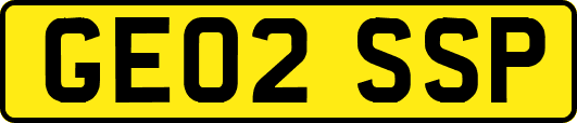 GE02SSP