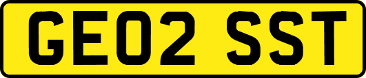 GE02SST