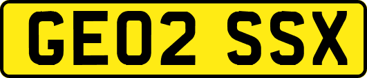 GE02SSX