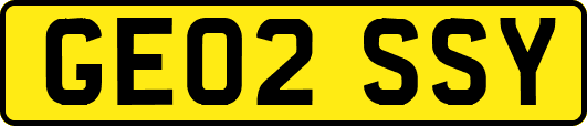 GE02SSY