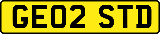GE02STD