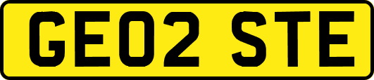 GE02STE
