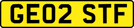 GE02STF