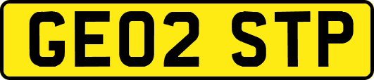 GE02STP