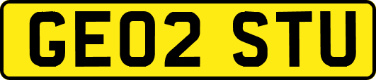 GE02STU