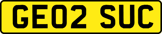 GE02SUC