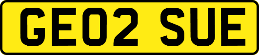 GE02SUE