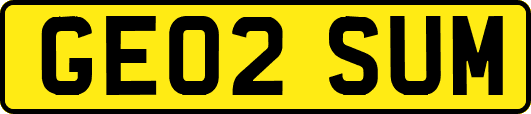 GE02SUM