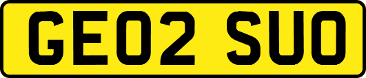 GE02SUO
