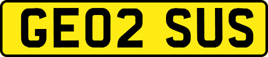 GE02SUS
