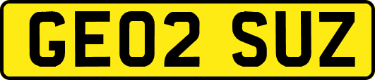 GE02SUZ