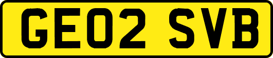GE02SVB