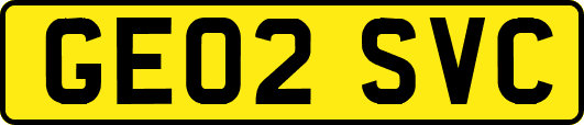 GE02SVC