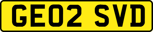 GE02SVD