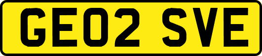 GE02SVE