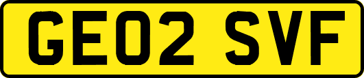GE02SVF
