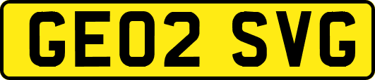 GE02SVG