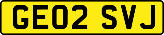 GE02SVJ