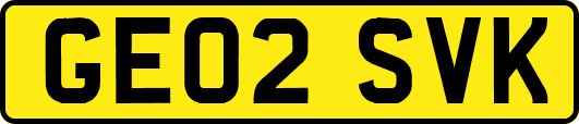 GE02SVK