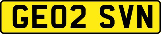 GE02SVN