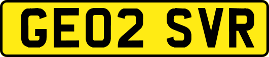 GE02SVR