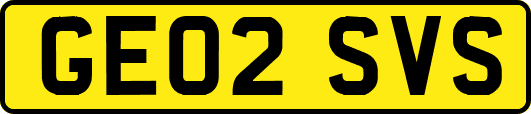 GE02SVS