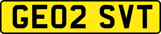 GE02SVT