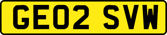 GE02SVW