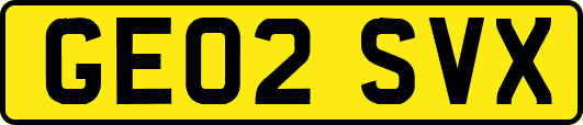 GE02SVX