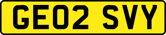 GE02SVY