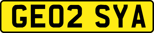 GE02SYA