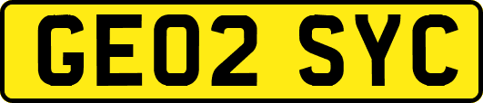 GE02SYC