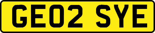 GE02SYE