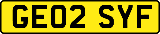 GE02SYF