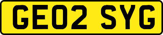 GE02SYG