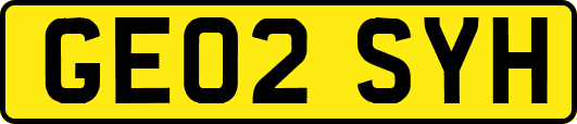 GE02SYH