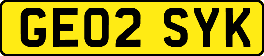 GE02SYK