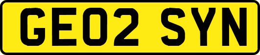 GE02SYN