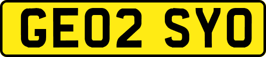 GE02SYO