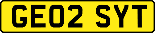 GE02SYT