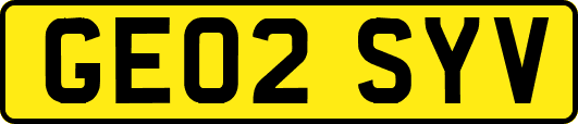 GE02SYV