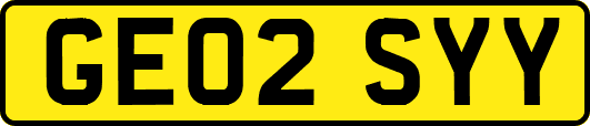 GE02SYY