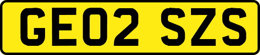 GE02SZS